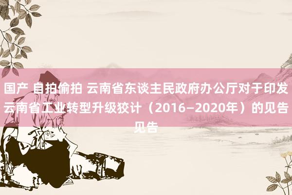 国产 自拍偷拍 云南省东谈主民政府办公厅对于印发云南省工业转型升级狡计（2016—2020年）的见告