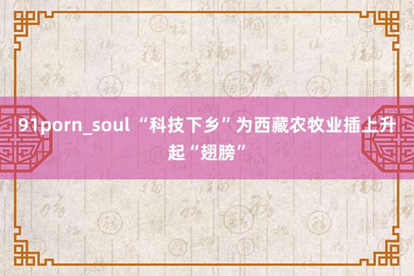 91porn_soul “科技下乡”为西藏农牧业插上升起“翅膀”