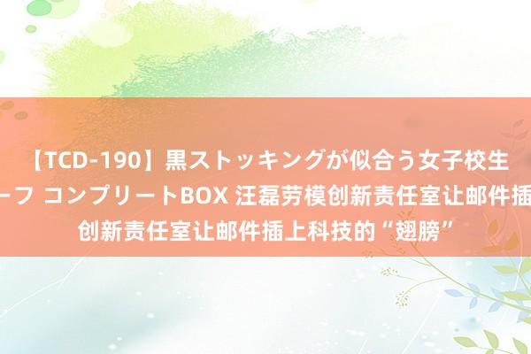 【TCD-190】黒ストッキングが似合う女子校生は美脚ニューハーフ コンプリートBOX 汪磊劳模创新责任室让邮件插上科技的“翅膀”