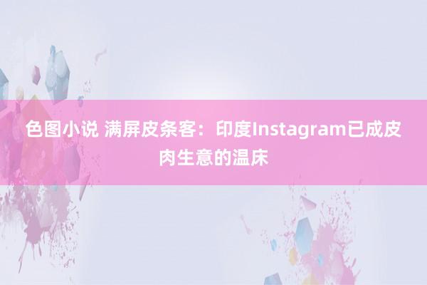 色图小说 满屏皮条客：印度Instagram已成皮肉生意的温床