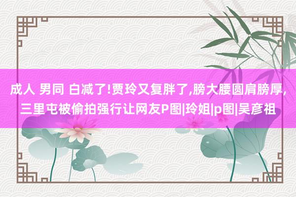 成人 男同 白减了!贾玲又复胖了，膀大腰圆肩膀厚，三里屯被偷拍强行让网友P图|玲姐|p图|吴彦祖