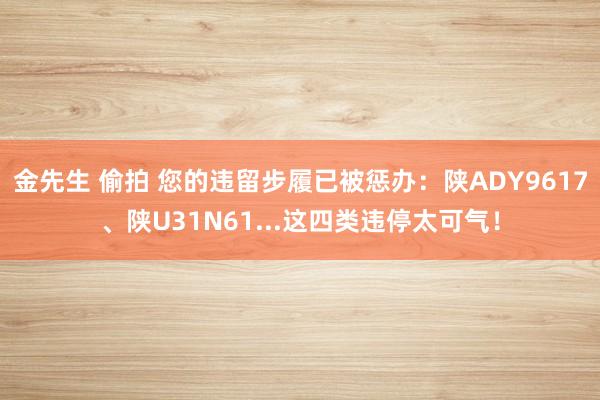 金先生 偷拍 您的违留步履已被惩办：陕ADY9617、陕U31N61...这四类违停太可气！