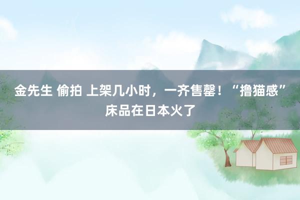 金先生 偷拍 上架几小时，一齐售罄！“撸猫感”床品在日本火了