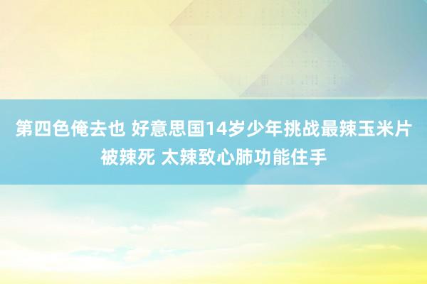 第四色俺去也 好意思国14岁少年挑战最辣玉米片被辣死 太辣致心肺功能住手