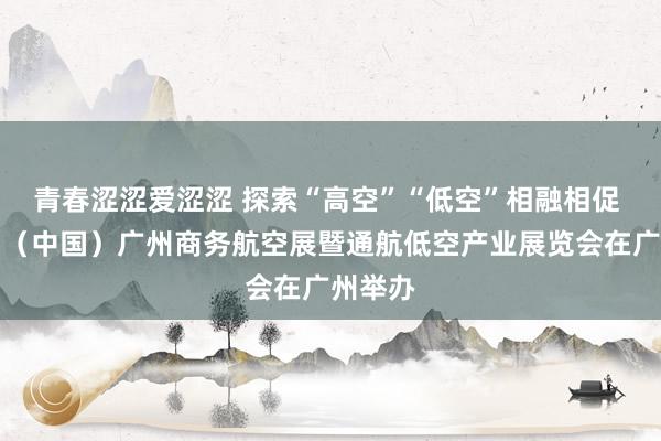 青春涩涩爱涩涩 探索“高空”“低空”相融相促 第七届（中国）广州商务航空展暨通航低空产业展览会在广州举办