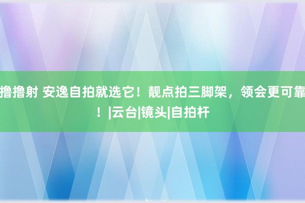 撸撸射 安逸自拍就选它！靓点拍三脚架，领会更可靠！|云台|镜头|自拍杆