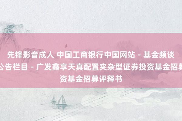 先锋影音成人 中国工商银行中国网站－基金频谈－基金公告栏目－广发鑫享天真配置夹杂型证券投资基金招募评释书